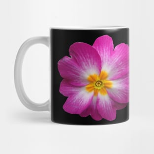 blooming pink primrose, flower, bloom, Mug